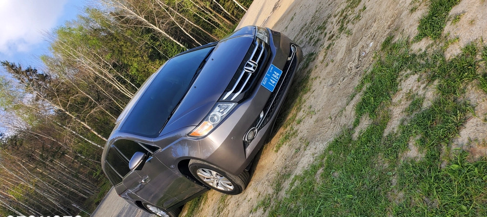 Honda Odyssey cena 74999 przebieg: 155000, rok produkcji 2016 z Byczyna małe 137